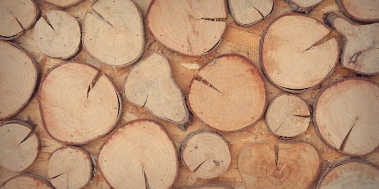 Palivové dříví pro hřejivý pocit u krbu