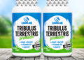 Tribulus terrestris neboli kotvičník zemní je skvělý životabudič pro muže i ženy