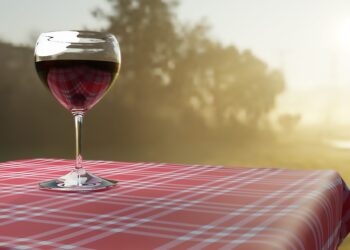 Kvalitní víno: dokonalý společník pro každou příležitost