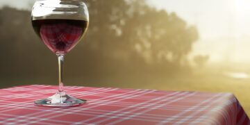 Kvalitní víno: dokonalý společník pro každou příležitost