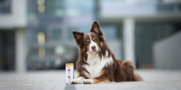 Aby hostina proběhla bez otravy