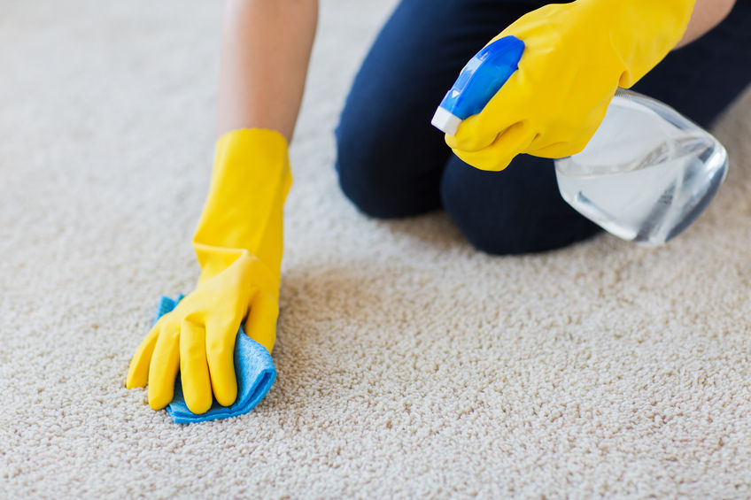 41730836 - people, housework and housekeeping concept - close up of woman in rubber gloves with cloth and detergent spray cleaning carpet at home